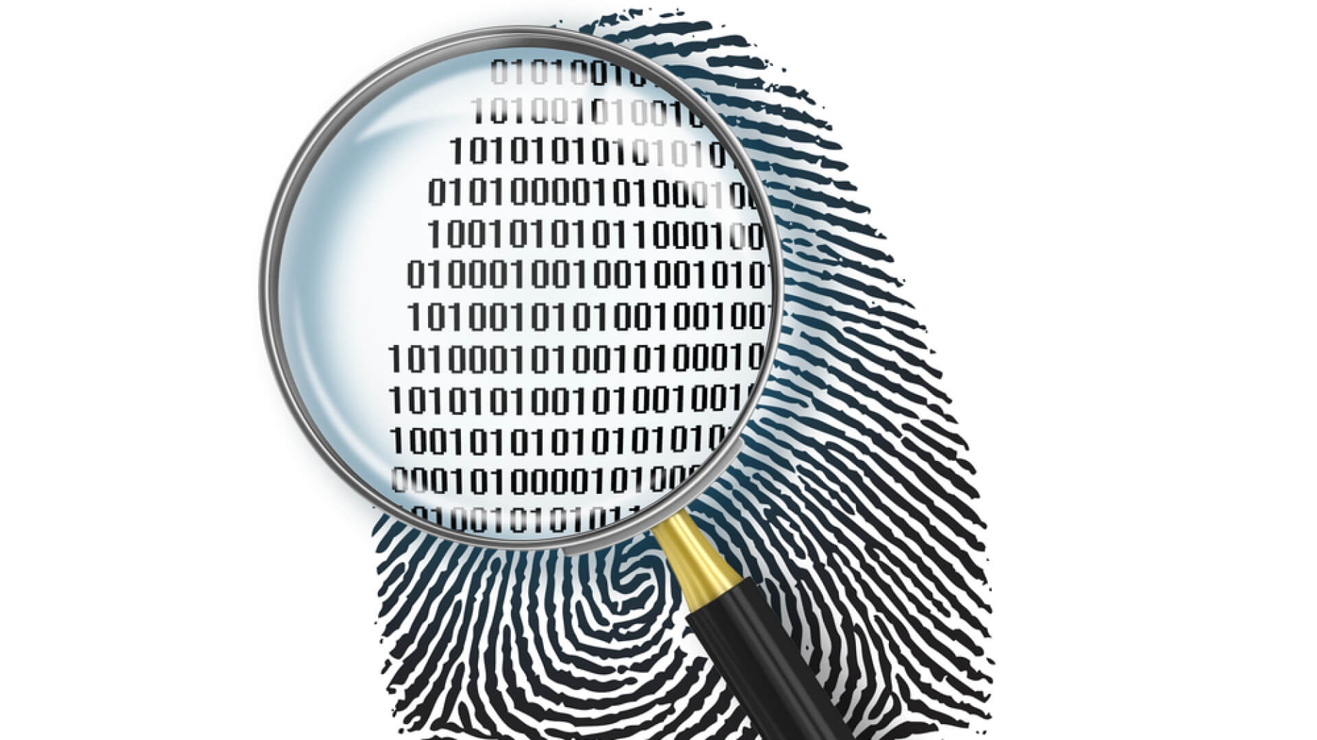 How to use ProDiscover, ProDiscover Forensics,